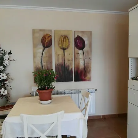 Playa Y Mar By I Norte فوز